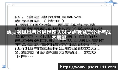 惠灵顿凤凰与悉尼足球队对决赛前深度分析与战术展望